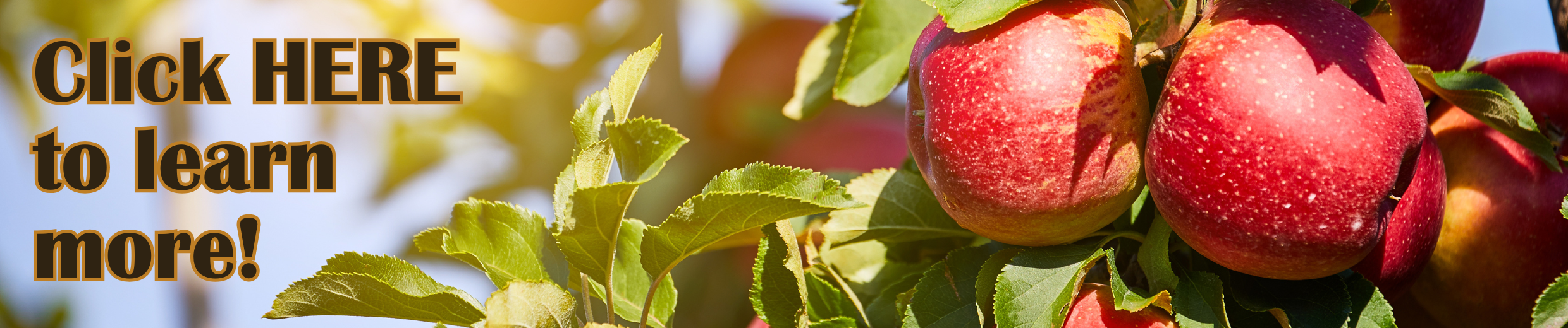 Boosting Fall Profits CTA