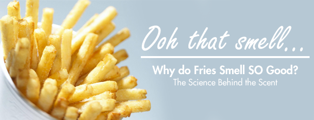 Why do french fries smell so good?