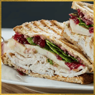 Turkey & Cranberry panini